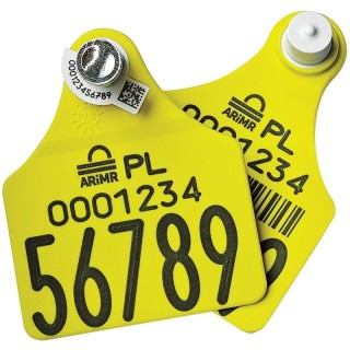 Kolczyk urzędowy TST do pobierania tkanki dla bydła