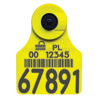 EID – Urzędowy elektroniczny kolczyk wizualny z metalową końcówką