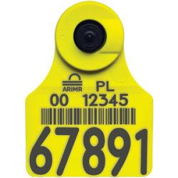 EID – Urzędowy...