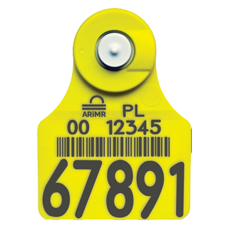 Combo (EID z TST) – Urzędowy elektroniczny kolczyk wizualny z igłą do pobierania tkanki