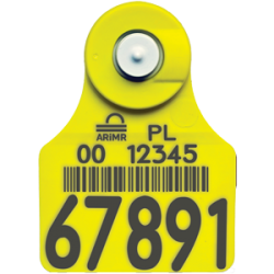 Combo (EID z TST) –...