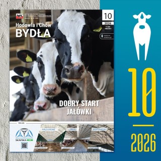 2026/10 –  Dobry start jałówki