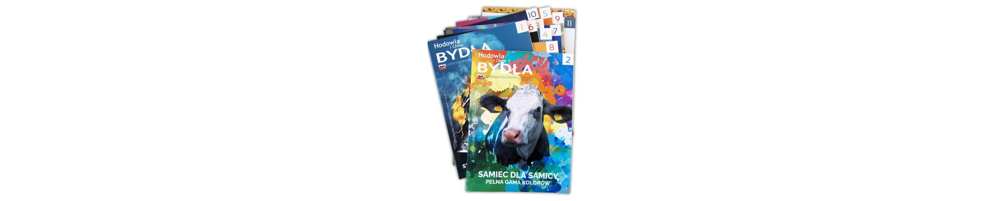 Miesięcznik Hodowla i Chów Bydła – prenumerata