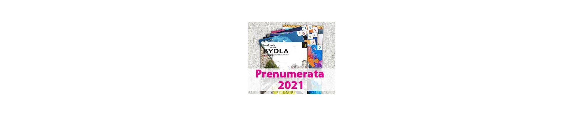 HiChB 2021